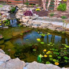 Pond building